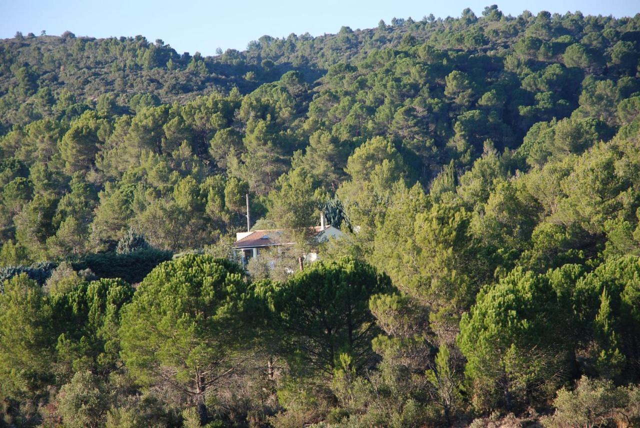 La Petite Cigale Villa Cesseras Dış mekan fotoğraf