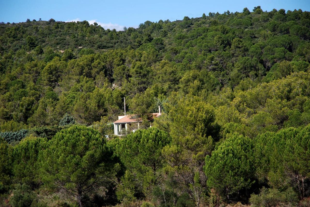 La Petite Cigale Villa Cesseras Dış mekan fotoğraf