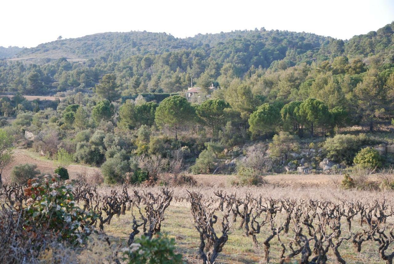 La Petite Cigale Villa Cesseras Dış mekan fotoğraf