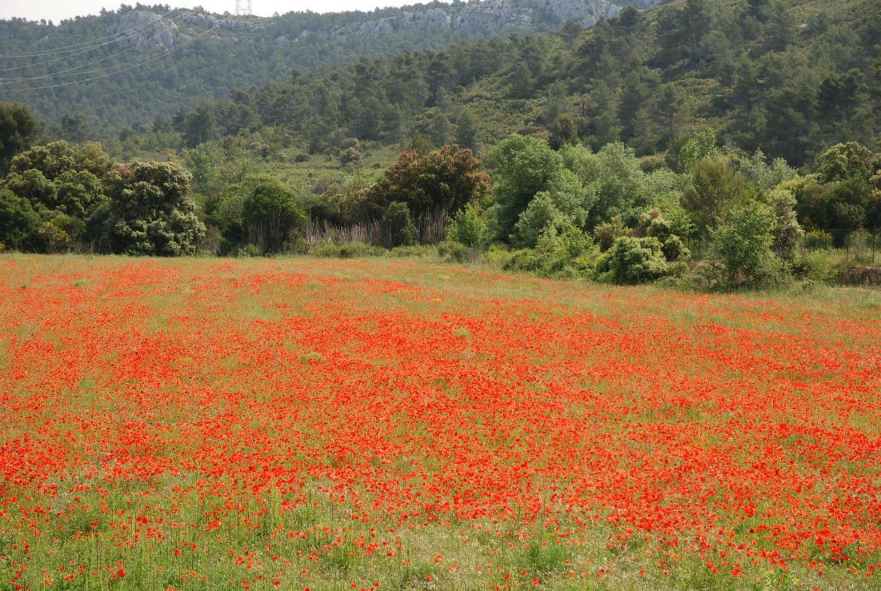 La Petite Cigale Villa Cesseras Dış mekan fotoğraf